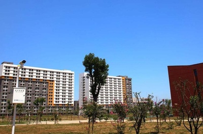 網(wǎng)絡(luò)工程專升本 探索計(jì)算機(jī)軟件與網(wǎng)絡(luò)應(yīng)用技術(shù)的融合開發(fā)