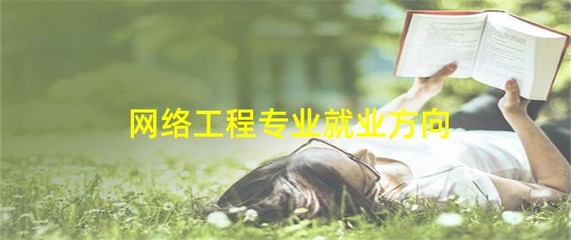 網(wǎng)絡(luò)工程專業(yè)就業(yè)方向 聚焦計(jì)算機(jī)軟件與網(wǎng)絡(luò)應(yīng)用技術(shù)的開發(fā)